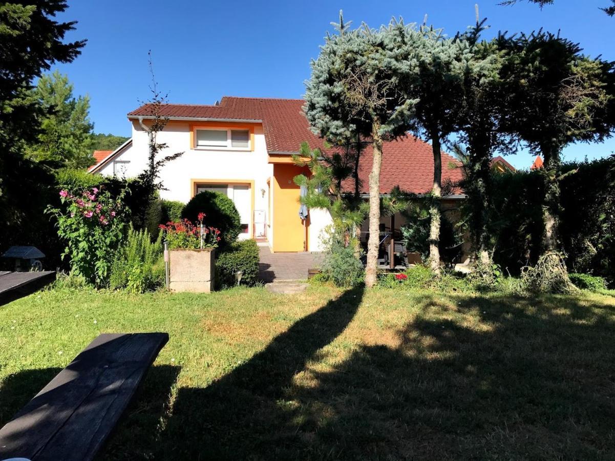 Apartman Marta Banka 외부 사진